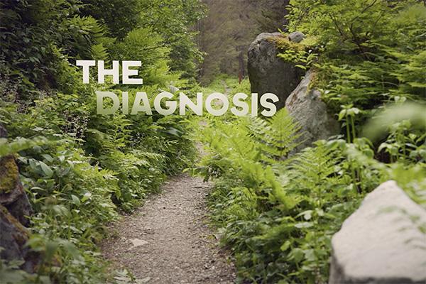 A rocky, fern-lined trail winding through a forest, representing the path to diagnosis