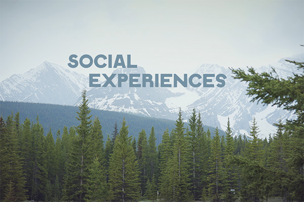 Majestic and cold mountain landscape with pine trees and moody weather, representing social experiences